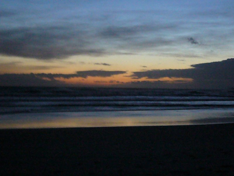 Travel - New Zealand - Sandfly Bay, Dunedin